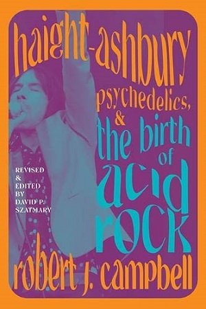 Front cover of Haight-Ashbury, psychedelics, and the birth of acid rock